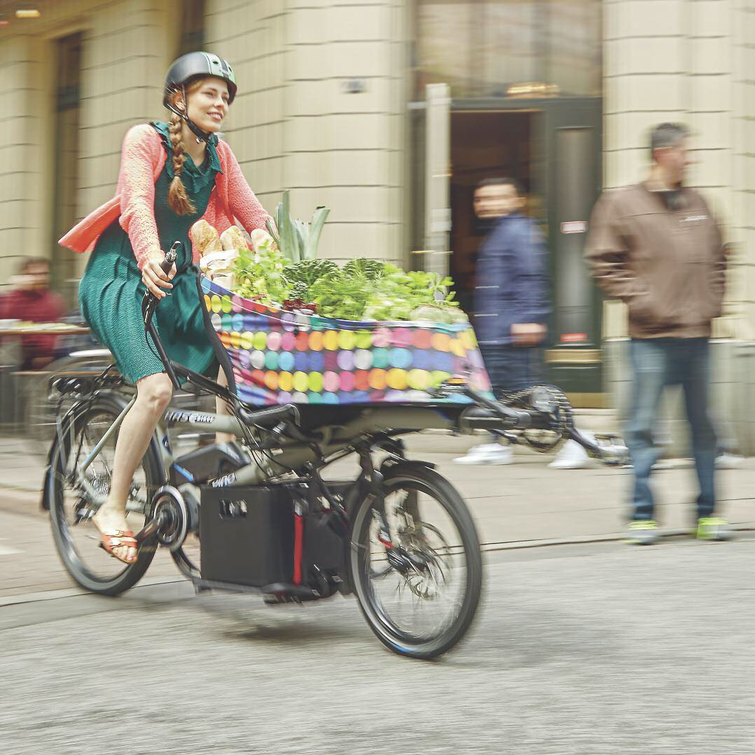 Woman riding a Hase Pino e-bike with a cargo bag full of groceries